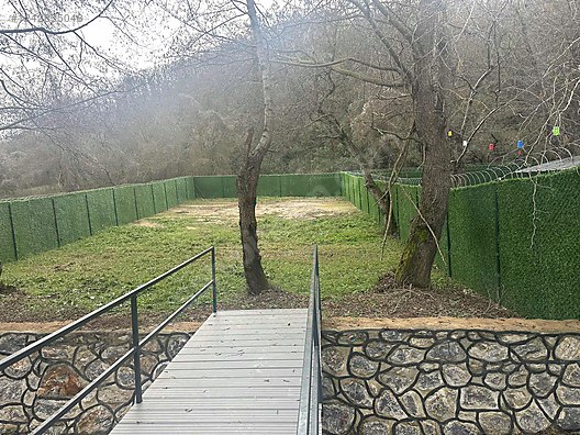 Fotoğraf